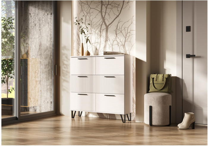 Обувница Флэш, Кашемир