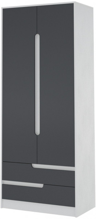 Шкаф 2-х створчатый Гавана, Белый/Графит серый