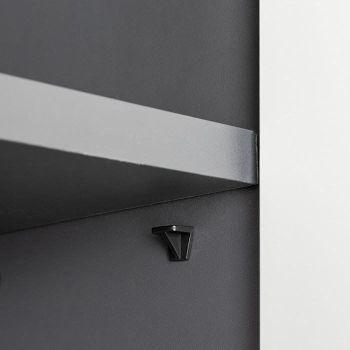 Сидней 13.200 Шкаф 2 штуки, цвет корпус: антрацит/фасады: МДФ веллюто капучино, ШхГхВ 100х41,3х205,2 см., универсальная сборка