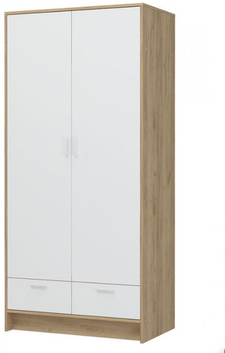 ИРИС ШК-02 Шкаф 2-х ств (935х2000х550) дуб крафт золото/белый