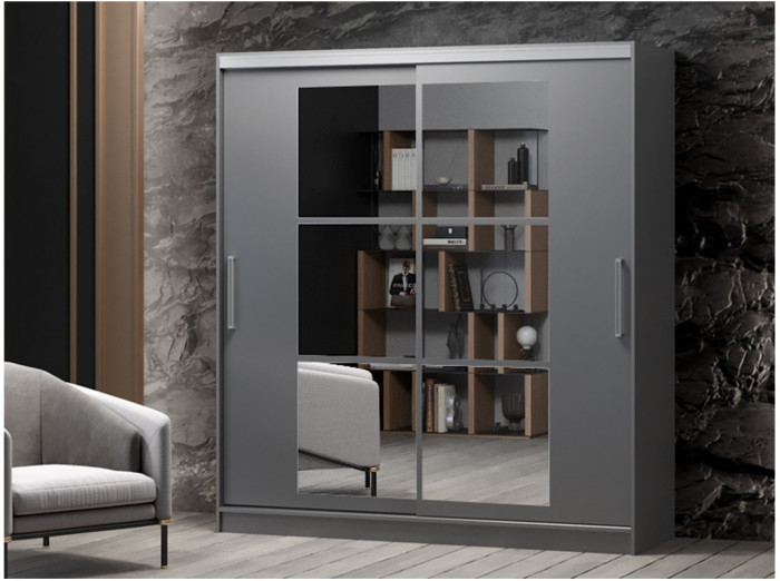 Шкаф-купе Альянс-10 ЛДСП 1700 + зеркала (Белый)