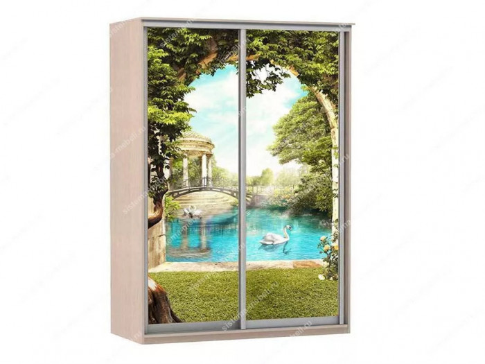 Шкаф купе Модерн 1490х600 2-х дверный 2-х секционный фотопечать №3 ясень