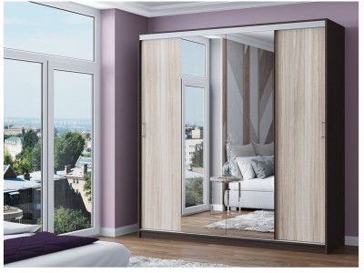 Шкаф-купе Альянс-3 ЛДСП (Венге / Ясень шимо светлый)