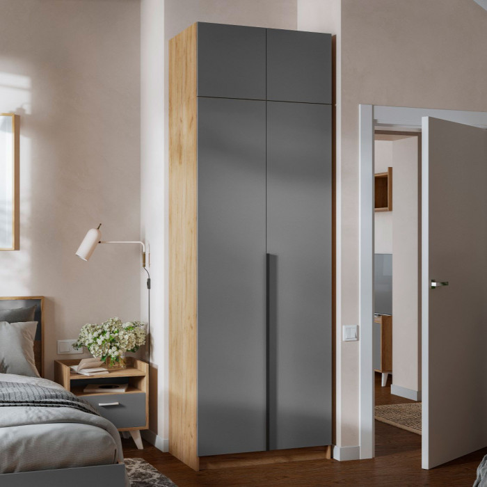 Лион ШК-01 Шкаф 2-х створчатый (800х2000х550) Дуб крафт/Графит серый