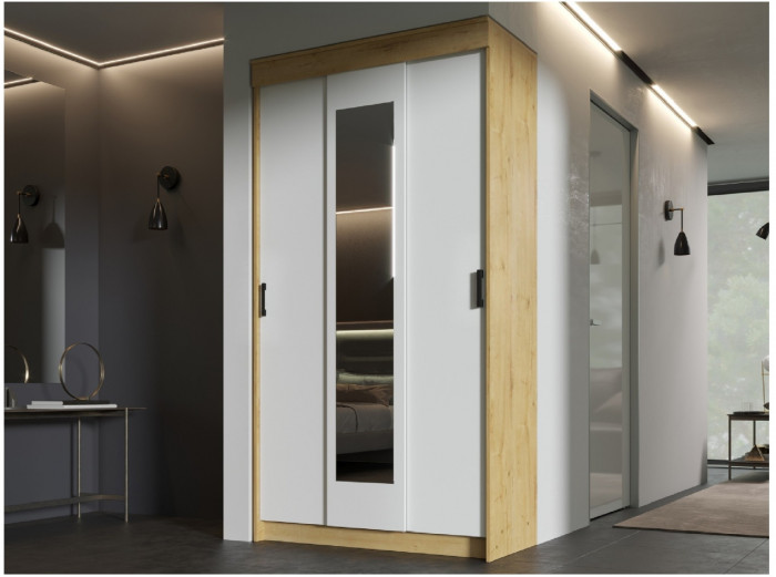 Эко Шкаф-купе, Ясень шимо темный/светлый